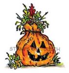 O-124-HK Lg. Leaf Pumpkin
